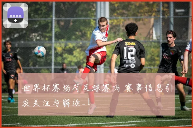 世界杯赛场有足球赛吗 赛事信息引发关注与解读_1